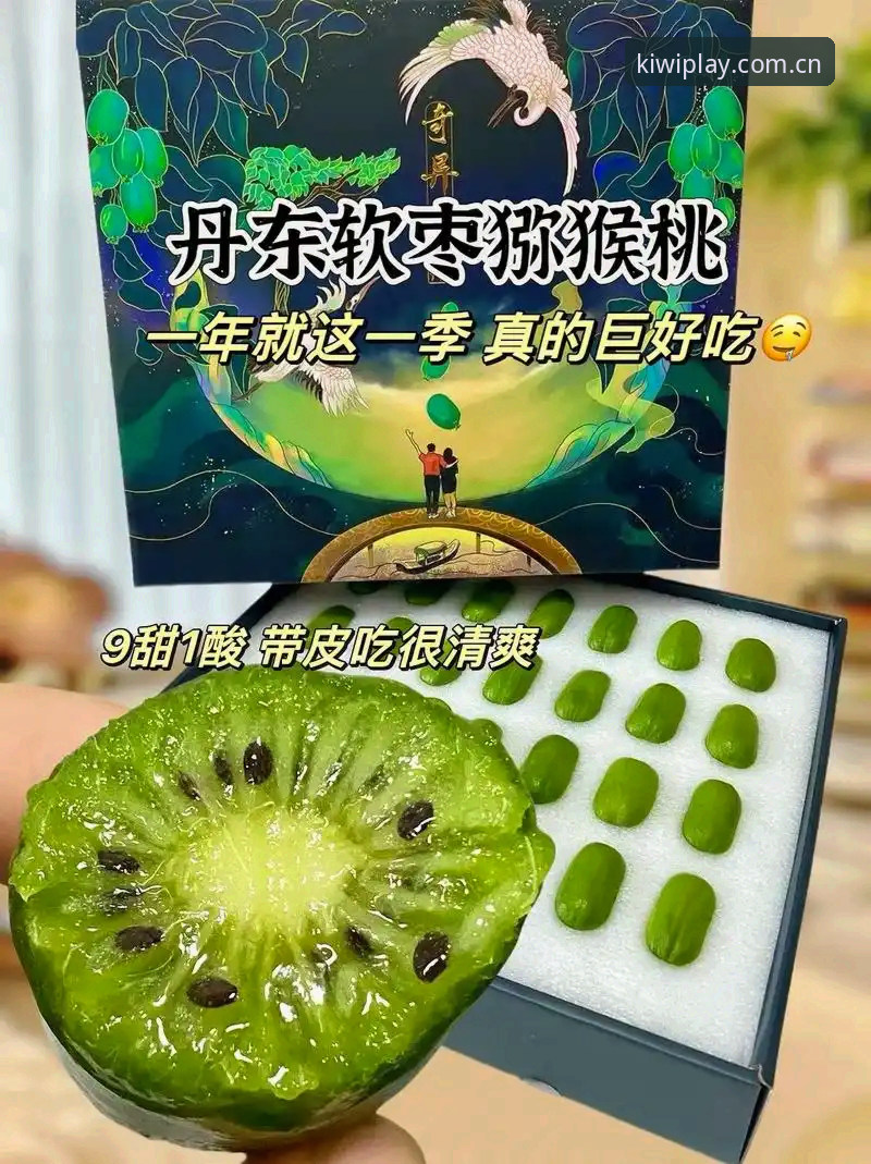 奇异果娱乐游戏合集 奇异果娱乐游戏合集详解:从入门到精通的创新攻略指南